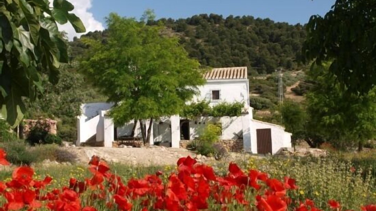 Photo of Outdoor in Campocamara