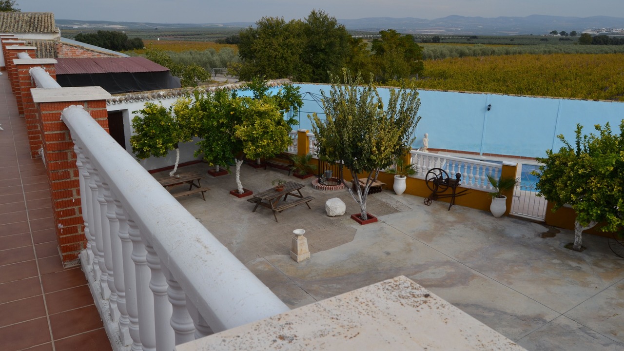 Photo of Outdoor in Moriles