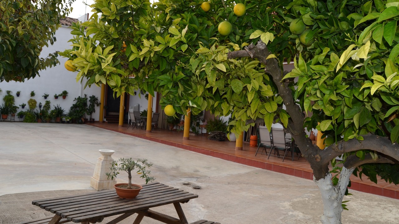 Photo of Outdoor in Moriles