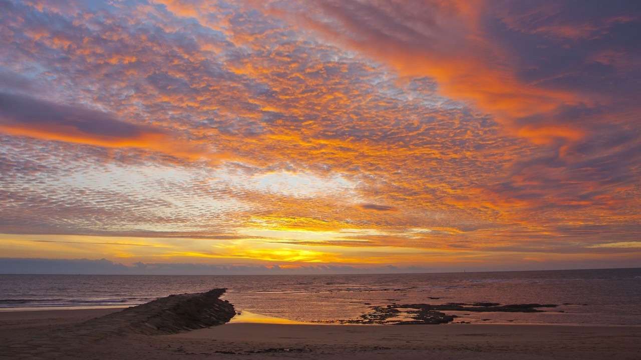 Photo of Others in El Palmar
