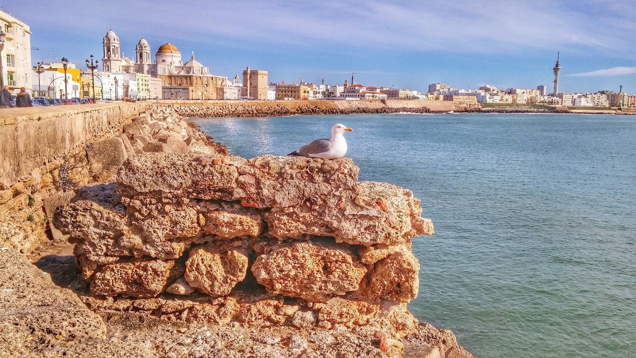 Photo of Others in El Palmar