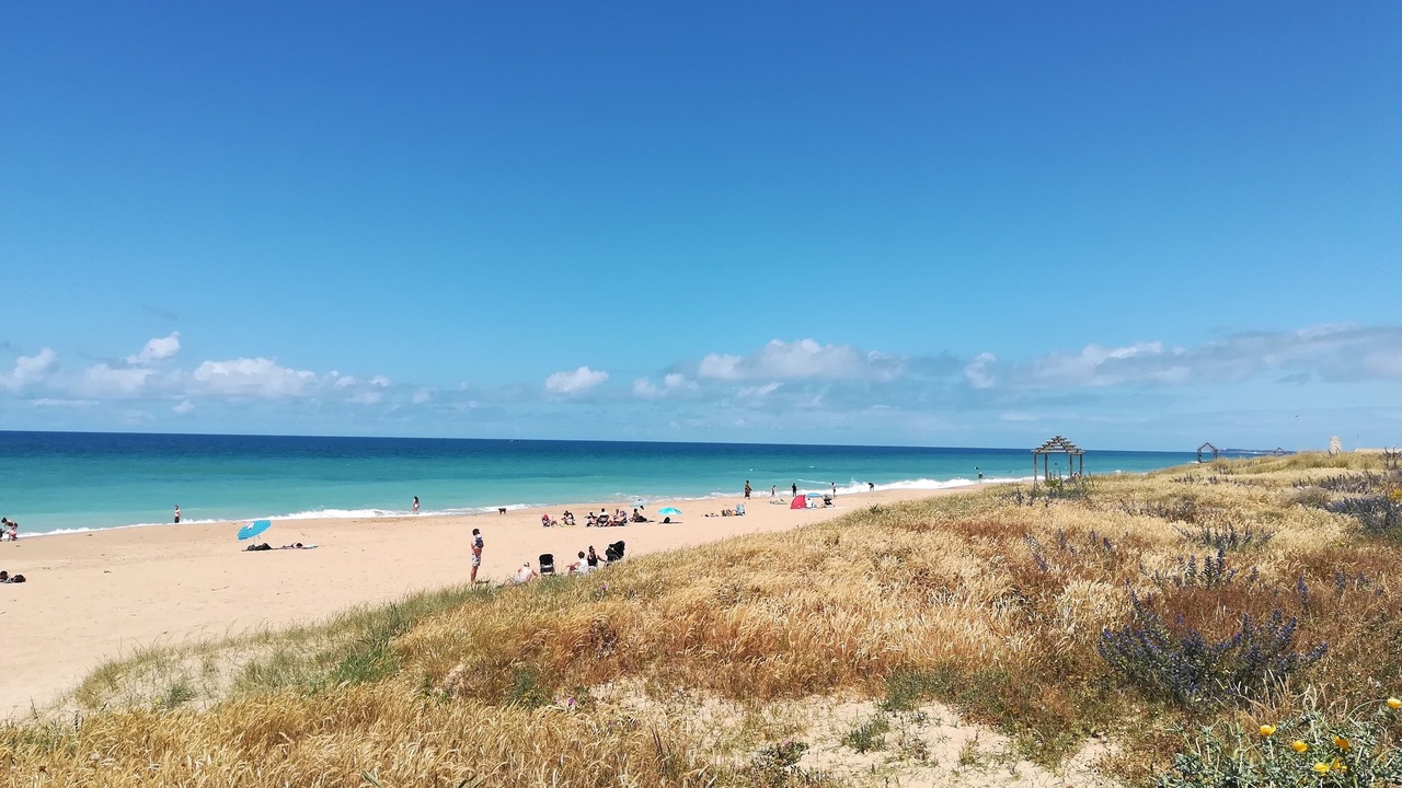 Photo of Others in El Palmar
