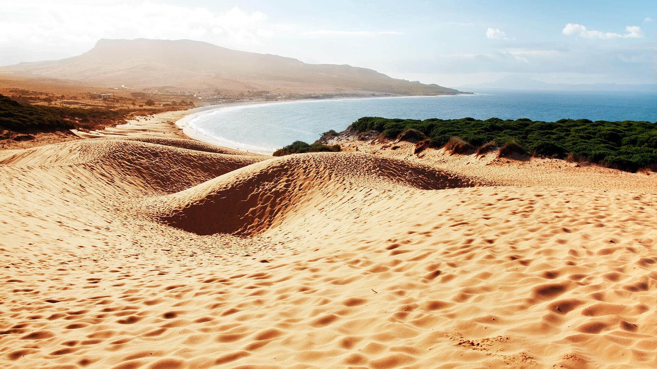 Photo of Others in El Palmar