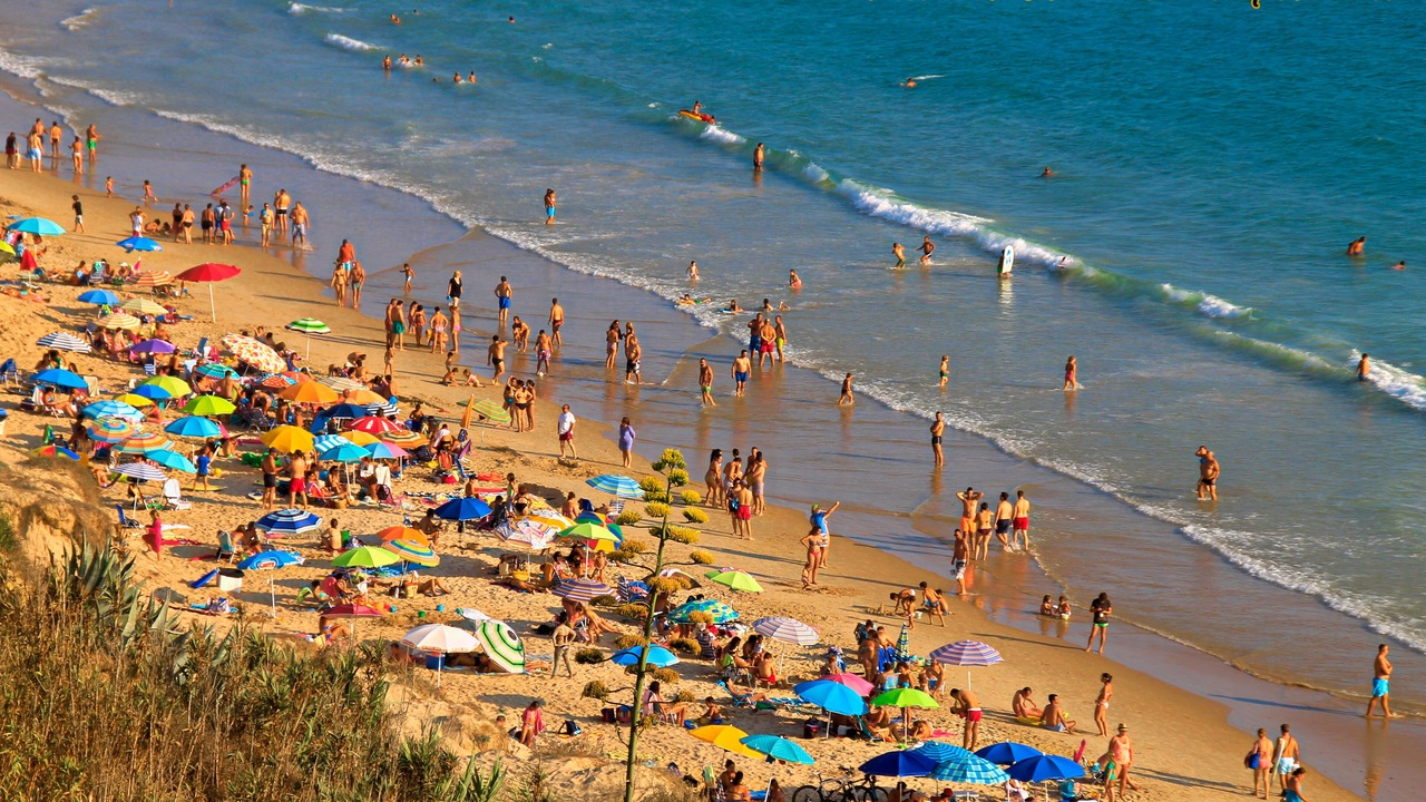 Photo of Others in El Palmar