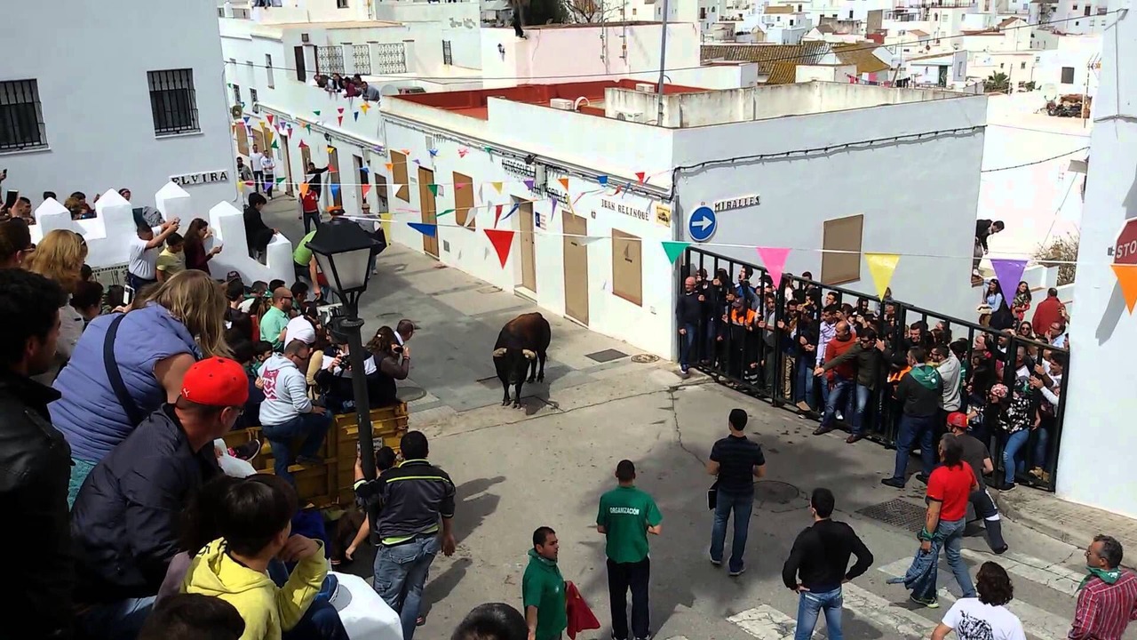 Photo of Others in El Palmar