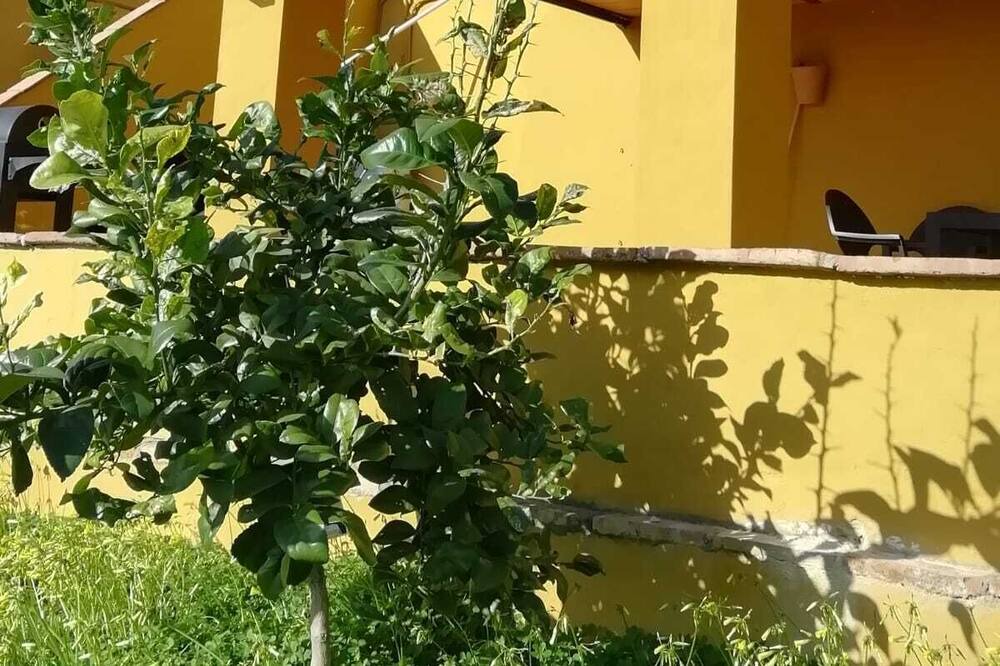 Photo of Outdoor in Mairena del Alcor