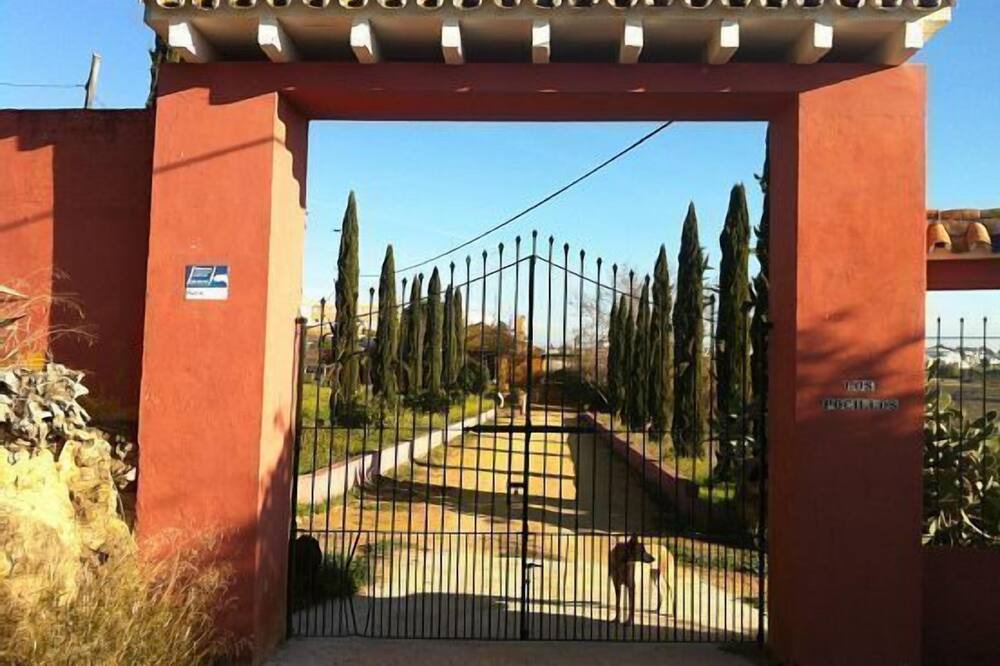 Photo of Outdoor in Mairena del Alcor