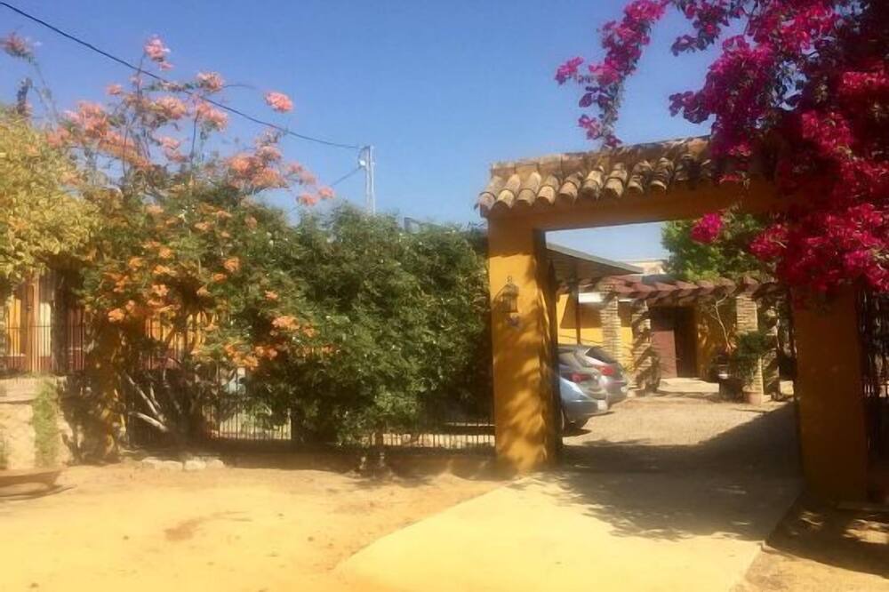 Photo of Outdoor in Mairena del Alcor