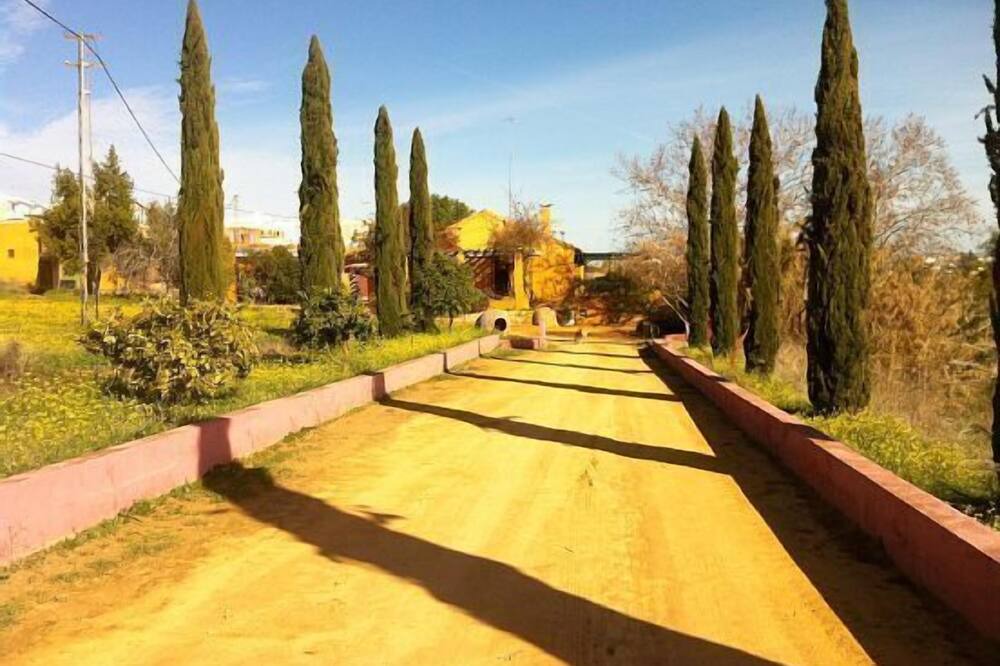 Photo of Outdoor in Mairena del Alcor