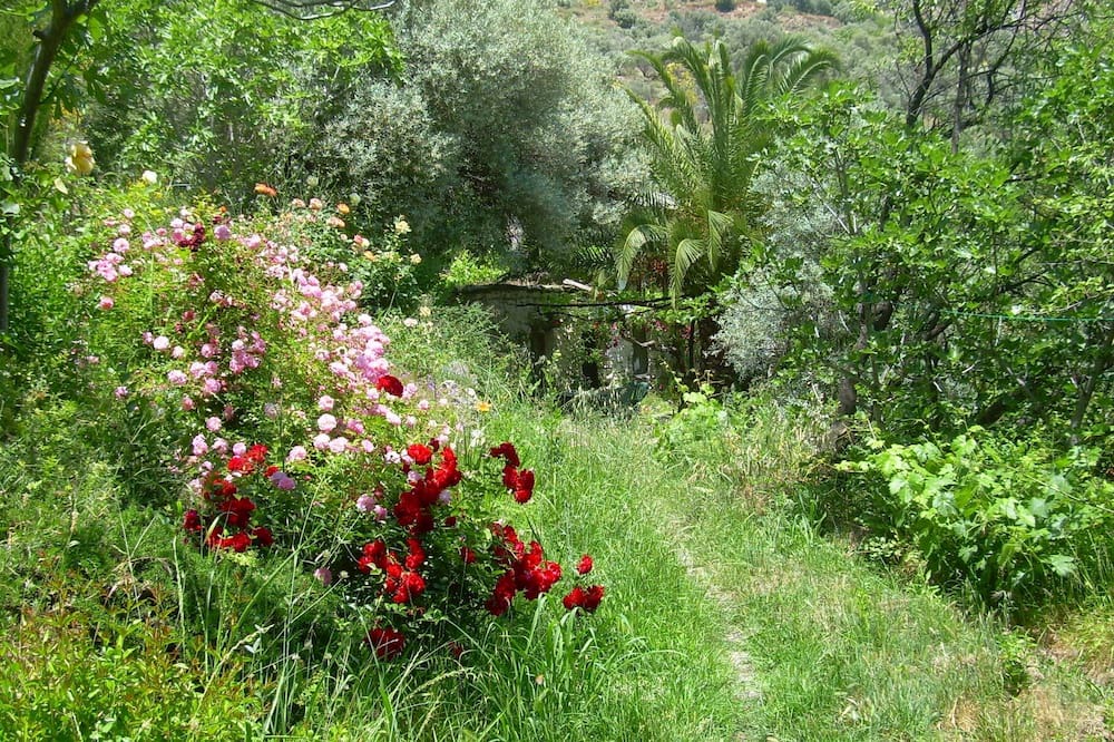 Photo of Others in Orgiva