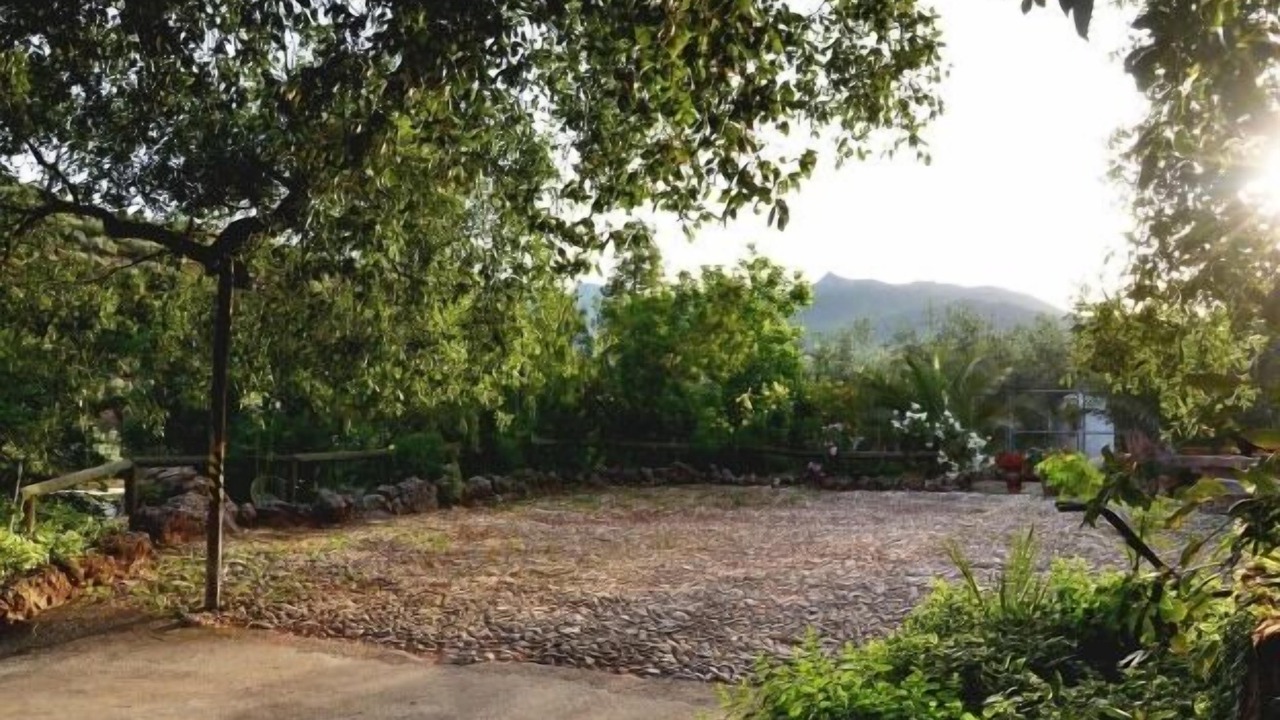 Photo of Outdoor in Carcabuey
