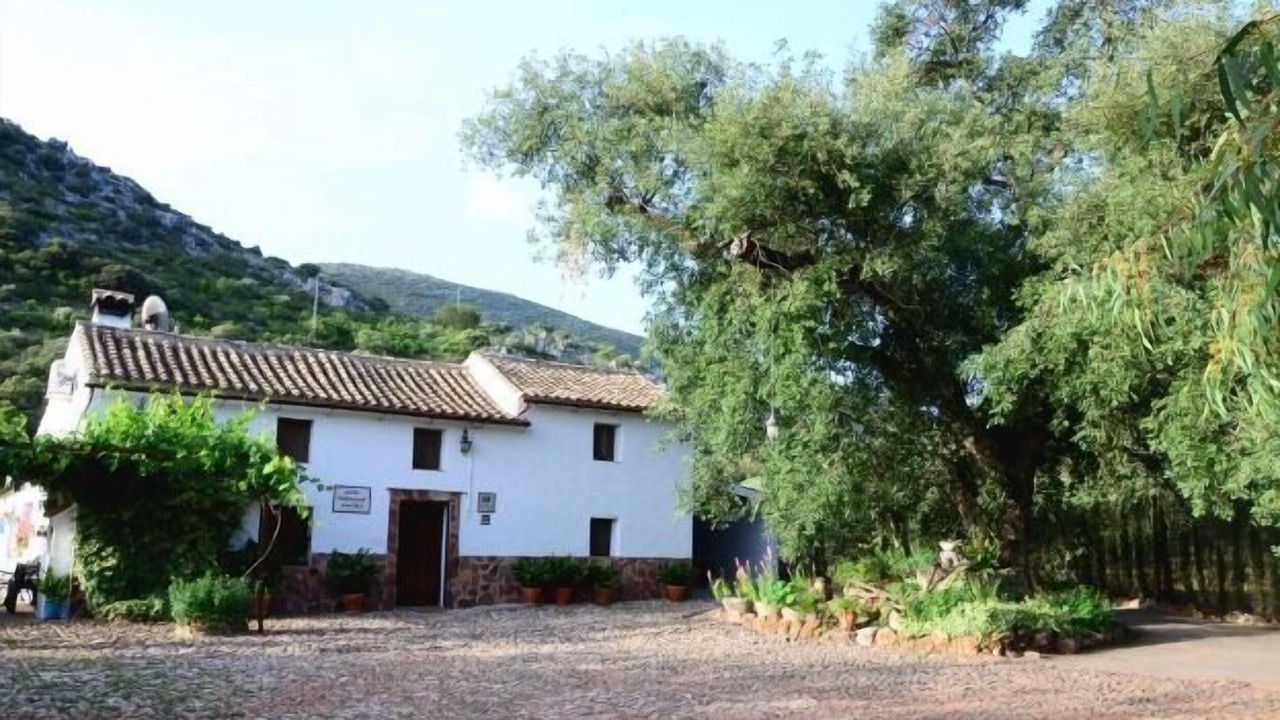 Photo of Outdoor in Carcabuey