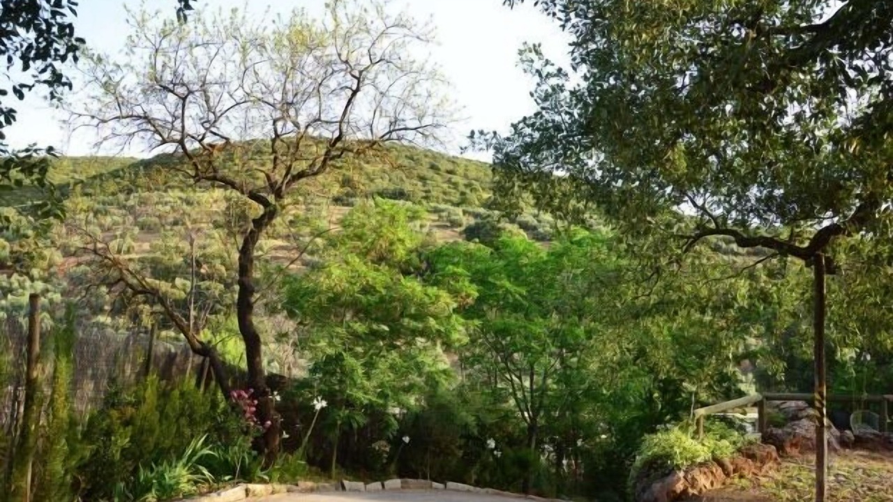 Photo of Outdoor in Carcabuey