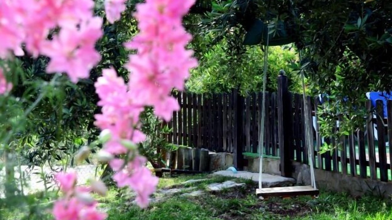 Photo of Outdoor in Carcabuey