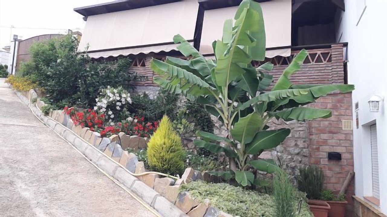 Photo of Outdoor in Totalan
