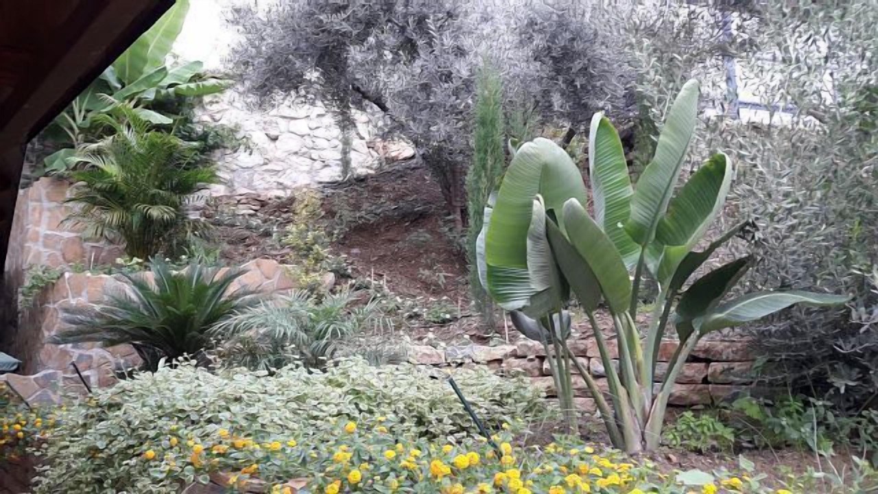 Photo of Outdoor in Totalan
