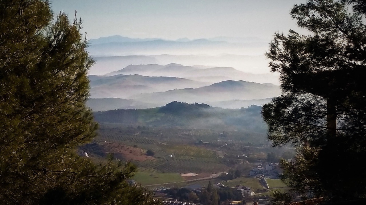 Photo of Others in Alozaina