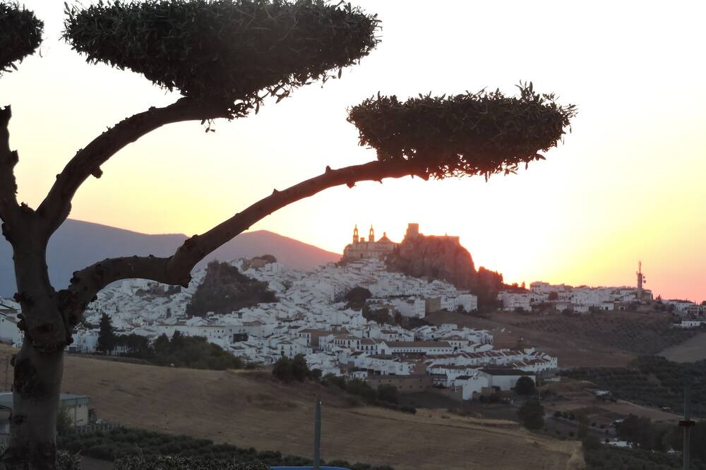 Photo of Outdoor in Olvera