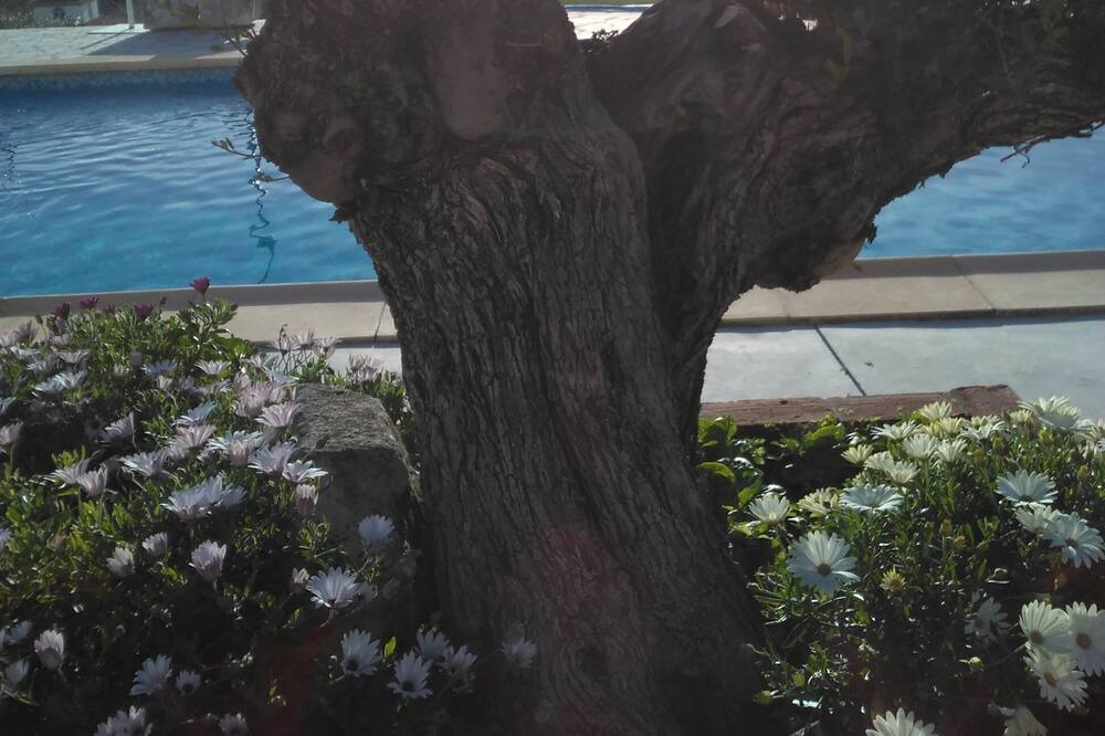 Photo of Outdoor in Olvera