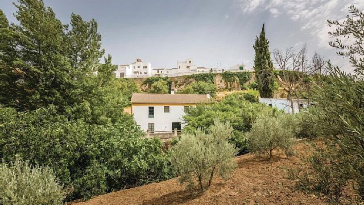 Photo of Outdoor in Cuevas del Becerro