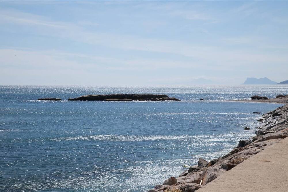 Photo of Others in Bahia Dorada