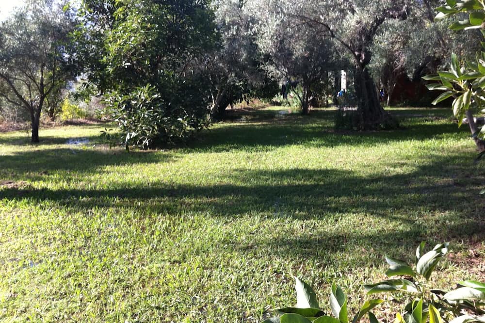 Photo of Outdoor in Orgiva