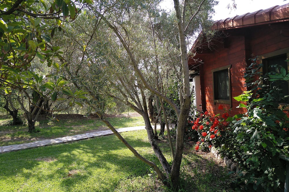 Photo of Outdoor in Orgiva