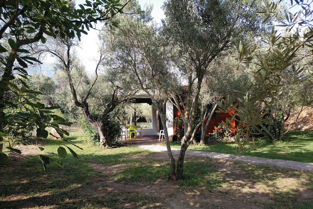 Photo of Outdoor in Orgiva