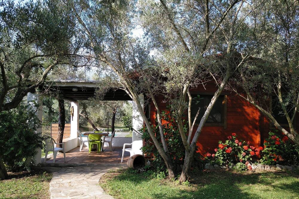 Photo of Outdoor in Orgiva