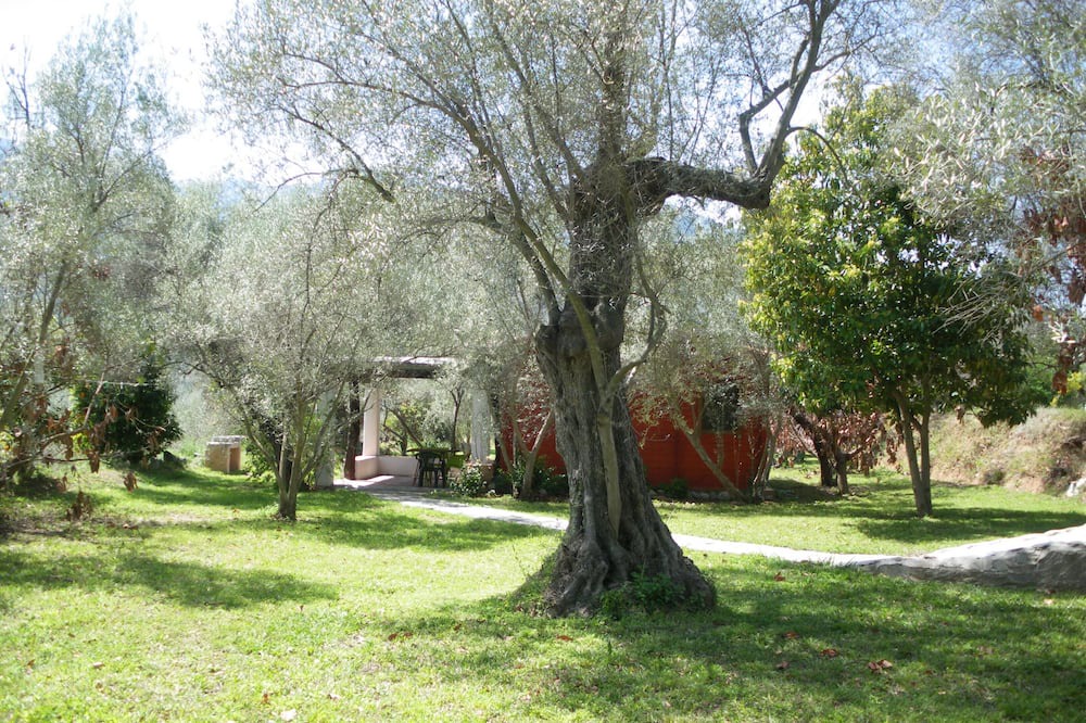 Photo of Outdoor in Orgiva