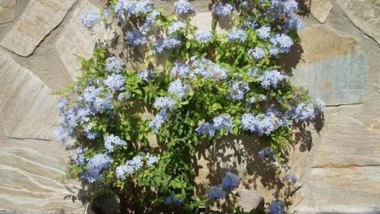Photo of Outdoor in Martos