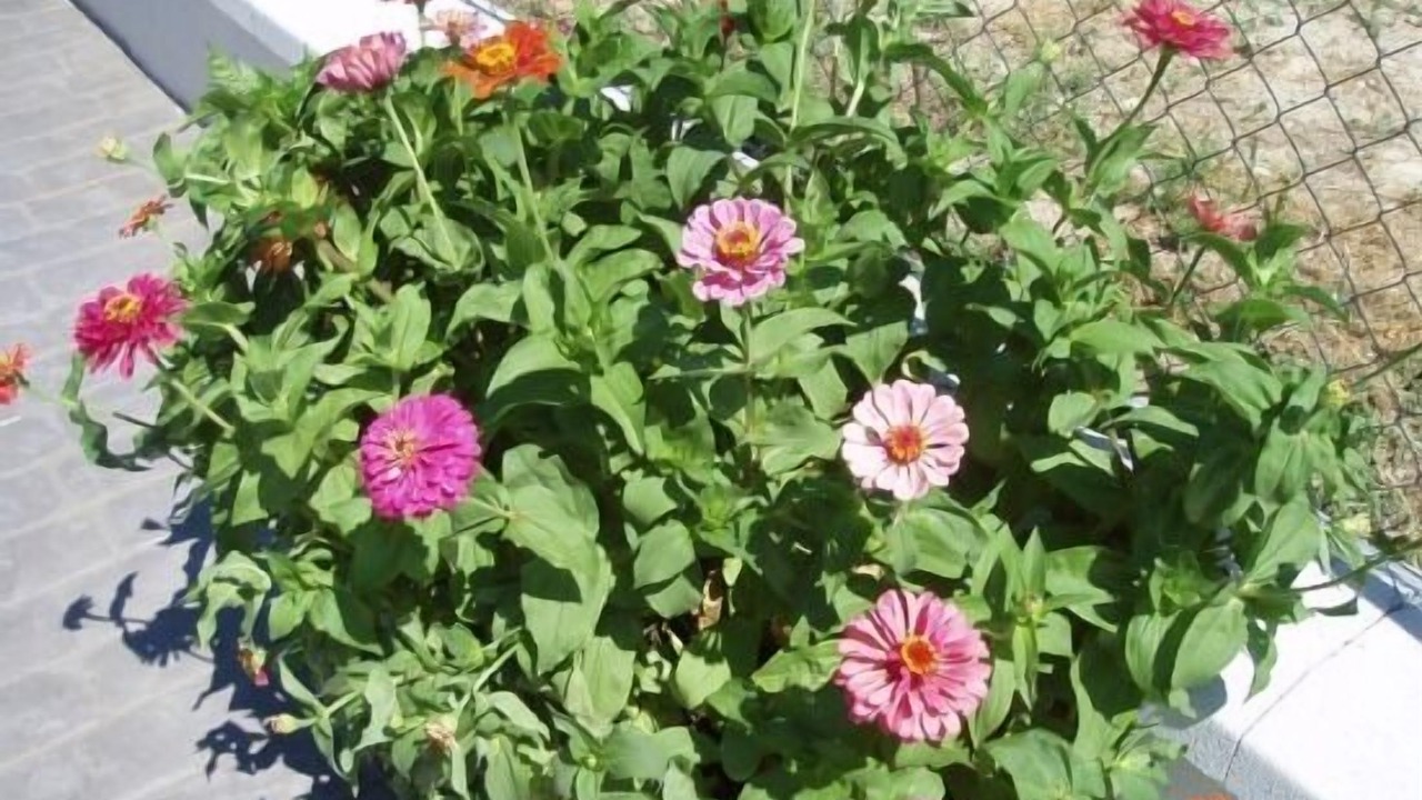 Photo of Outdoor in Martos