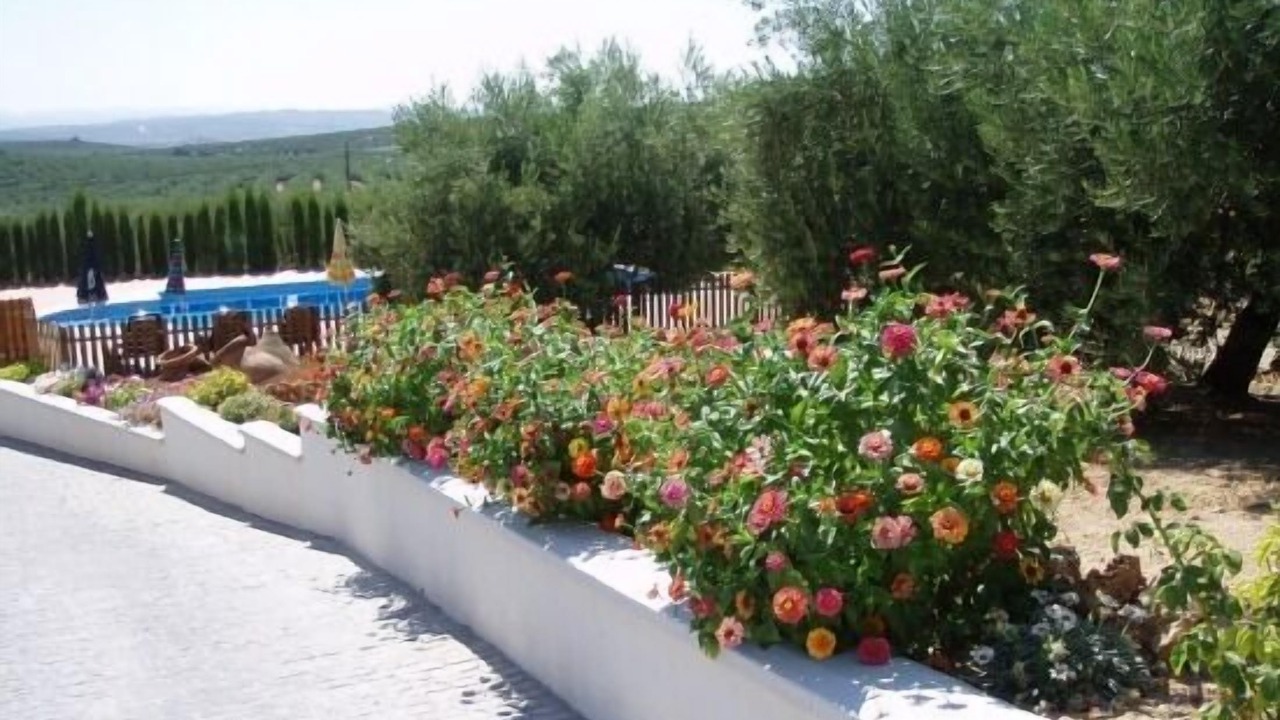 Photo of Outdoor in Martos