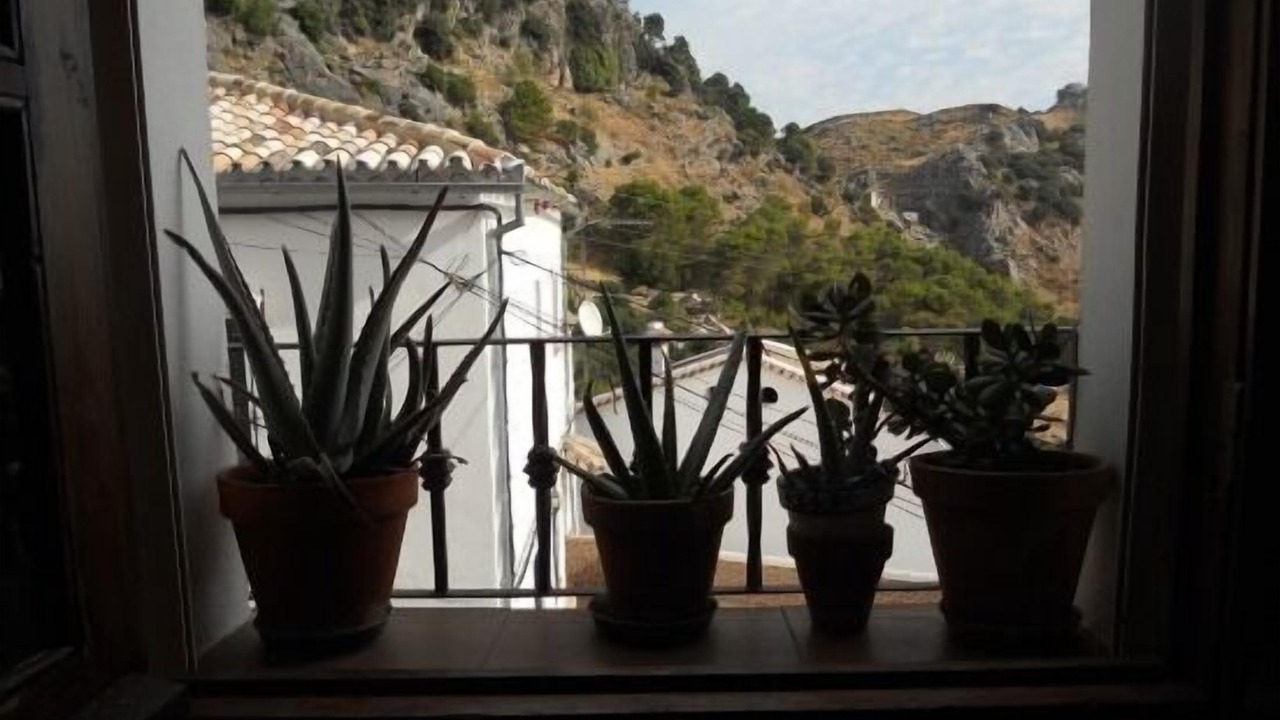Photo of Others in Grazalema