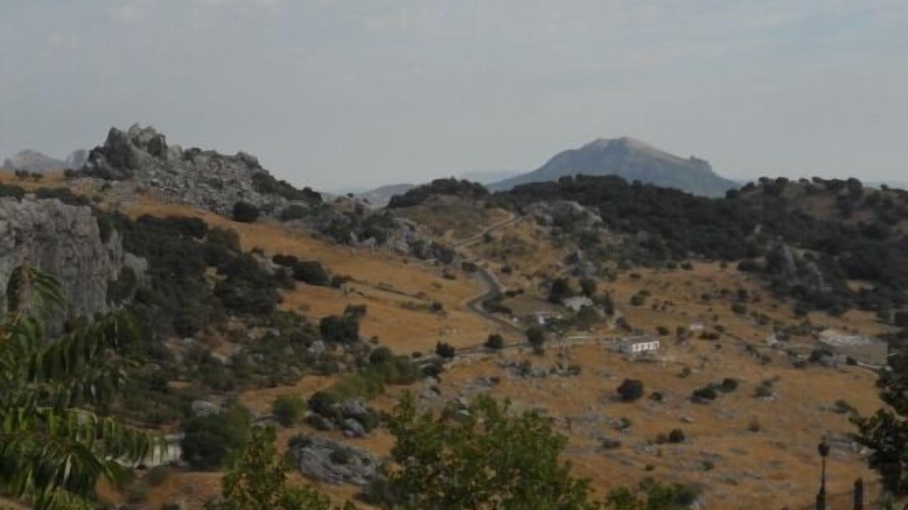 Photo of Others in Grazalema