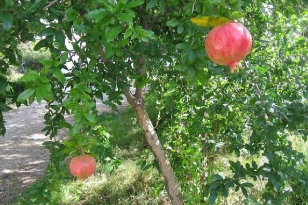 Photo of Outdoor in Monachil