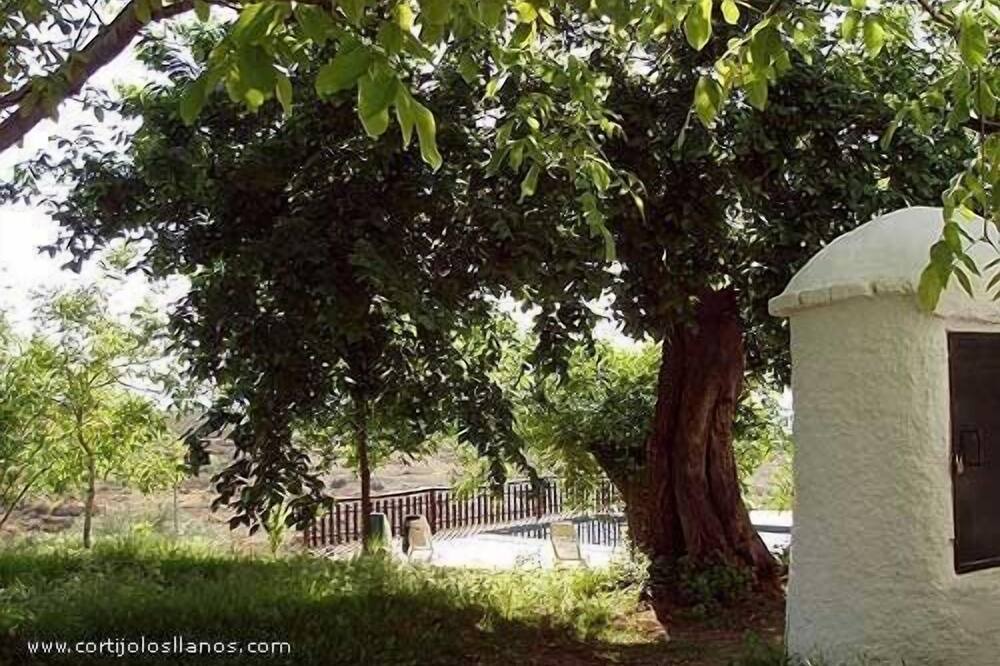 Photo of Outdoor in Monachil