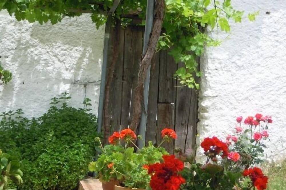 Photo of Outdoor in Monachil