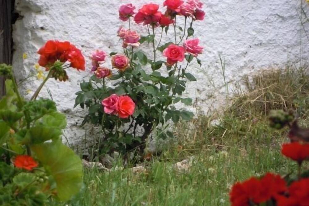 Photo of Outdoor in Monachil
