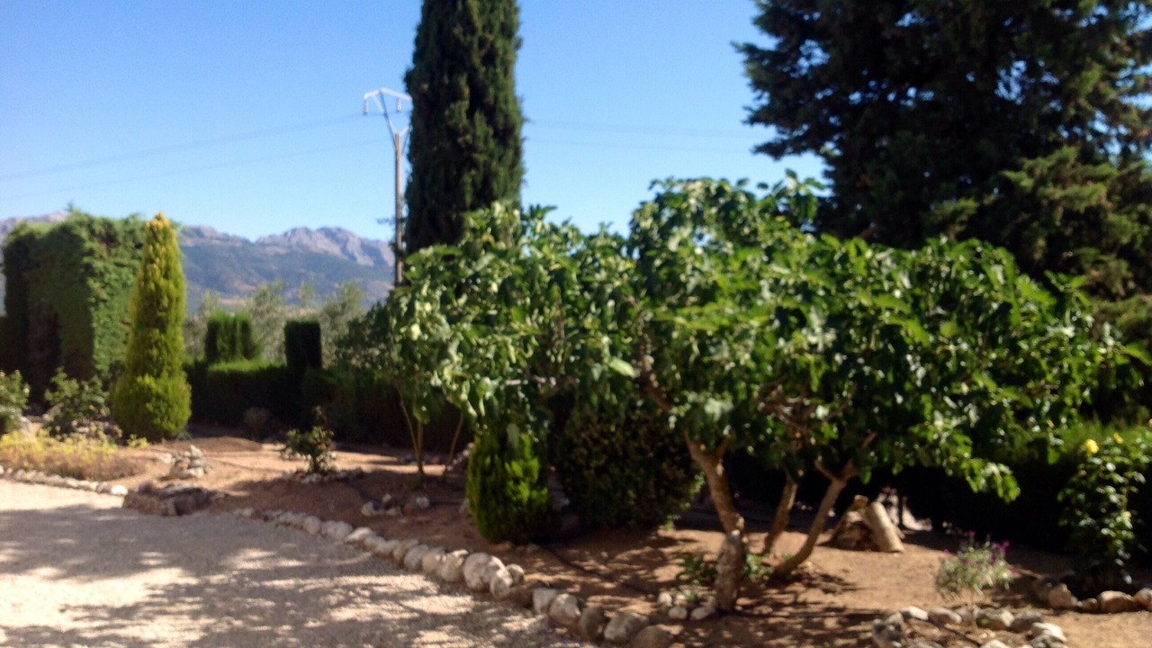 Photo of Outdoor in Villanueva del Rosario