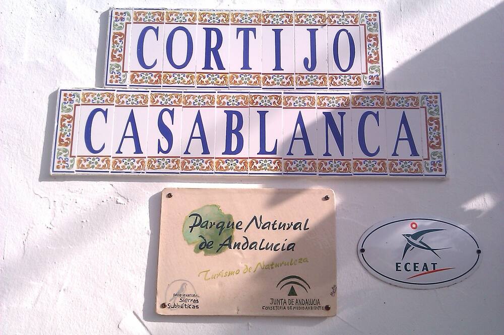 Photo of Outdoor in Priego de Cordoba