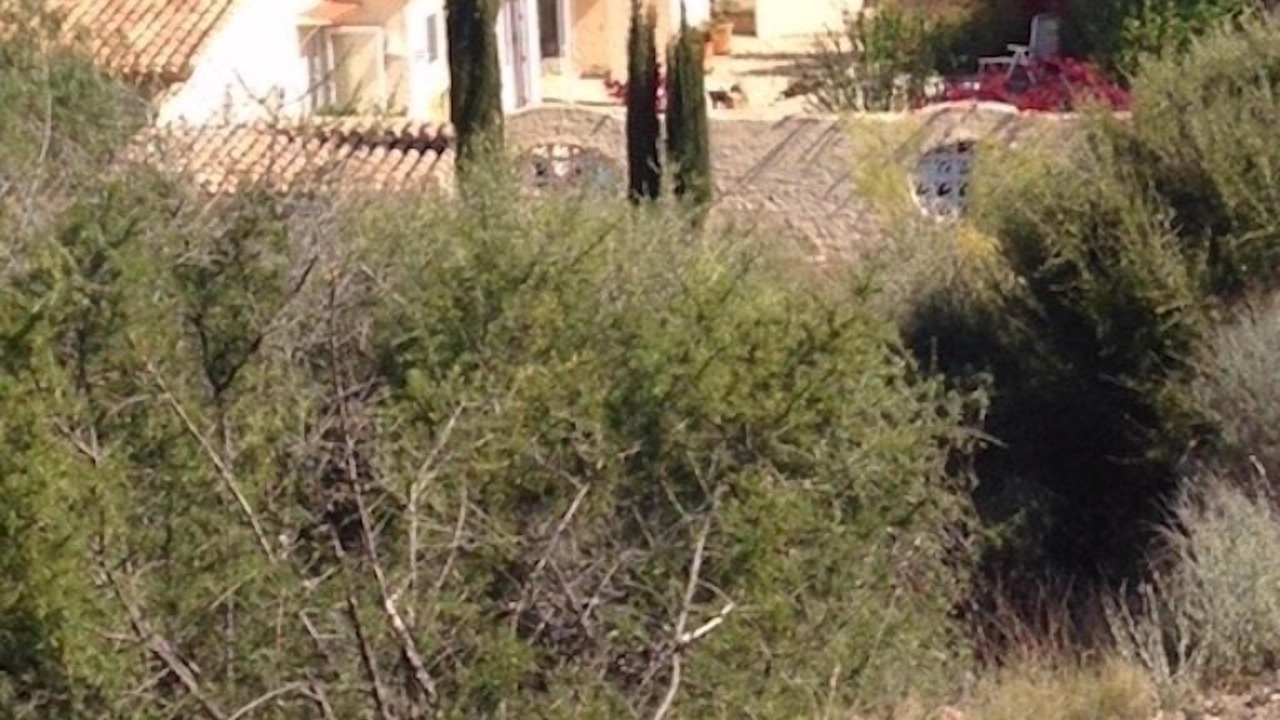Photo of Outdoor in El Cortijo Grande