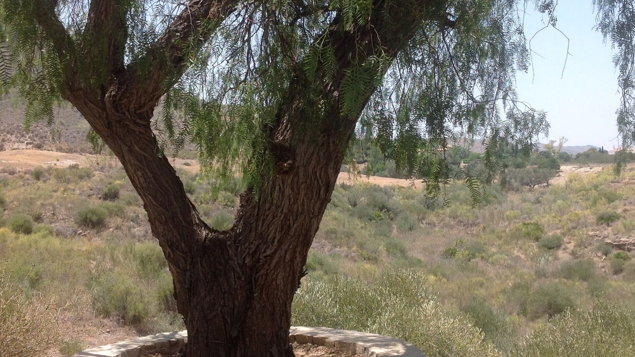 Photo of Outdoor in El Cortijo Grande