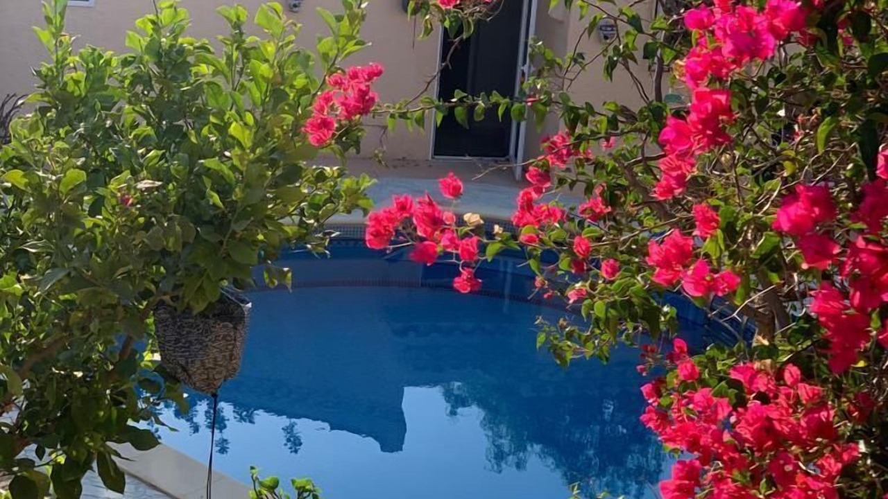 Photo of Outdoor in El Cortijo Grande