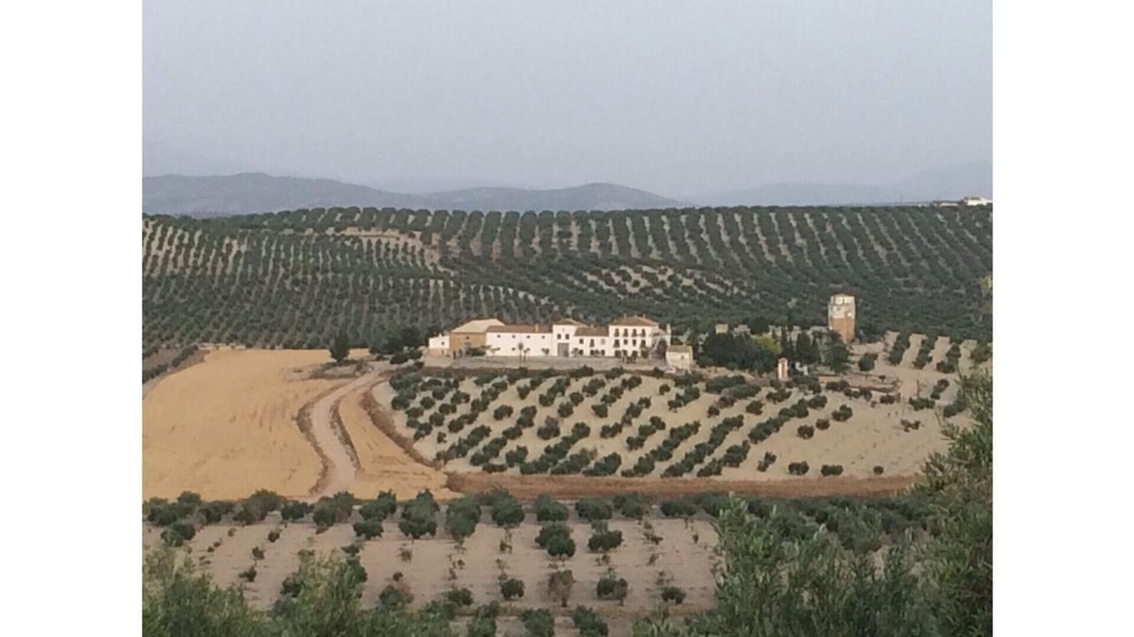 Photo of Outdoor in Arjona