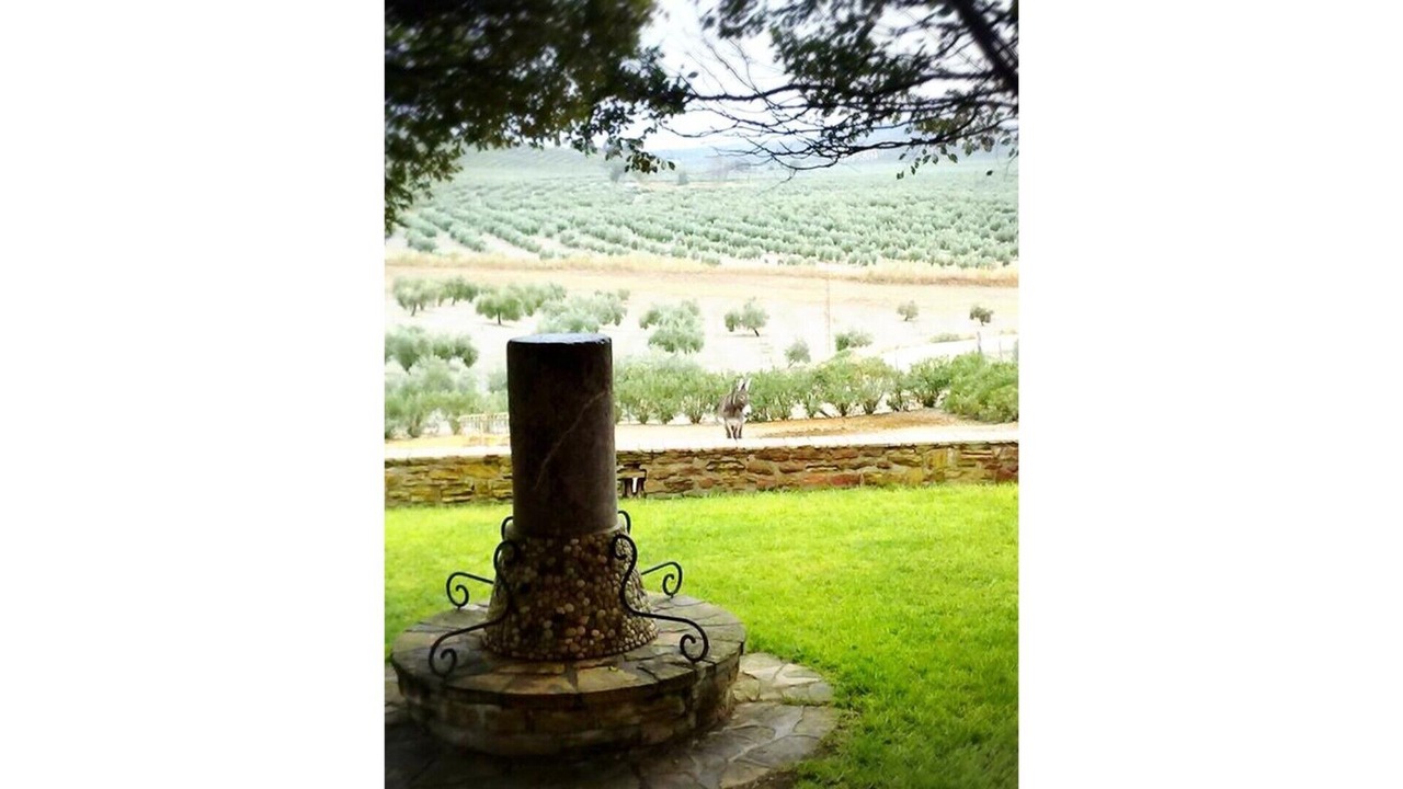 Photo of Outdoor in Arjona