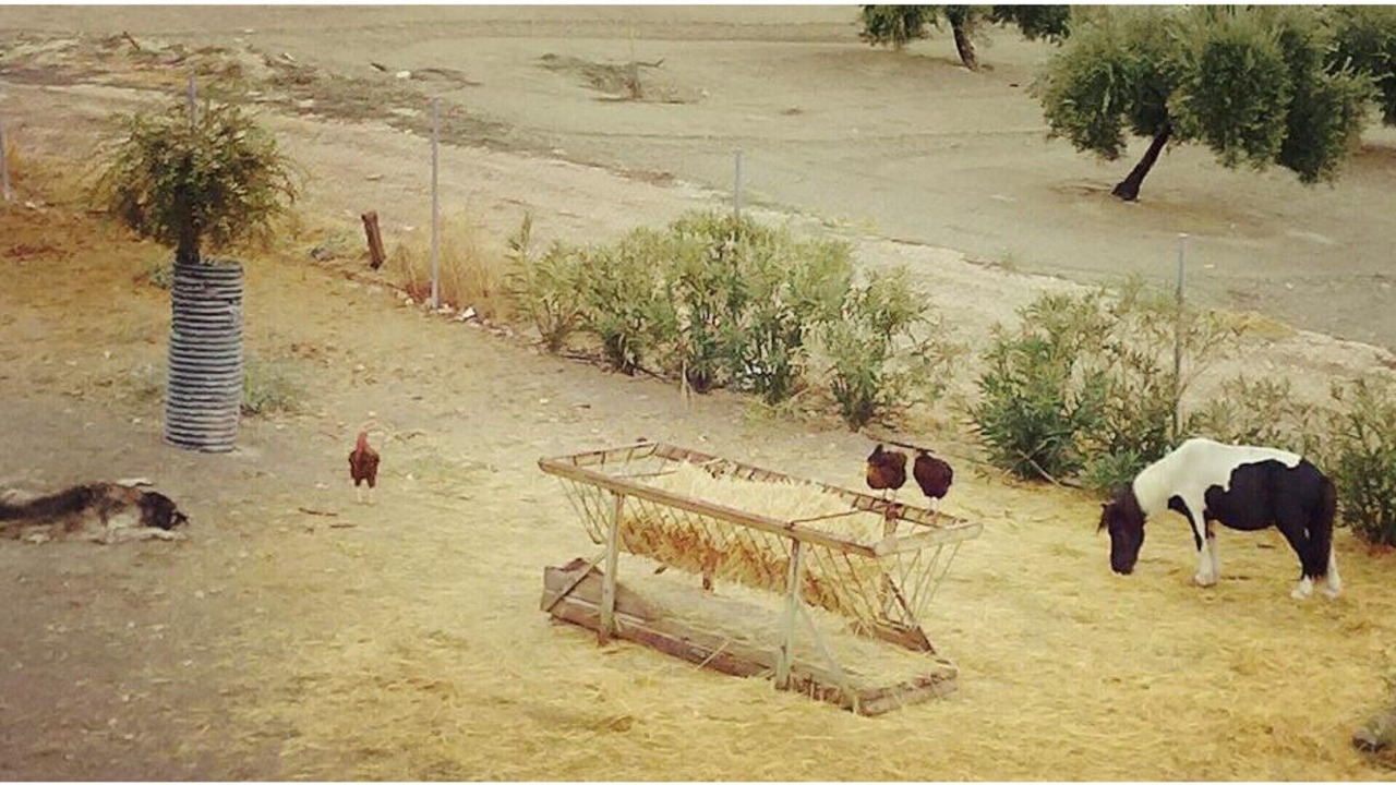 Photo of Others in Arjona