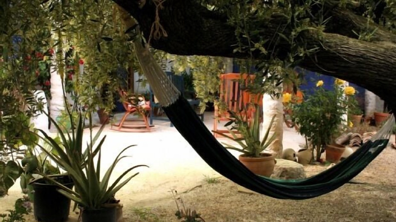 Photo of Outdoor in Huercal-Overa