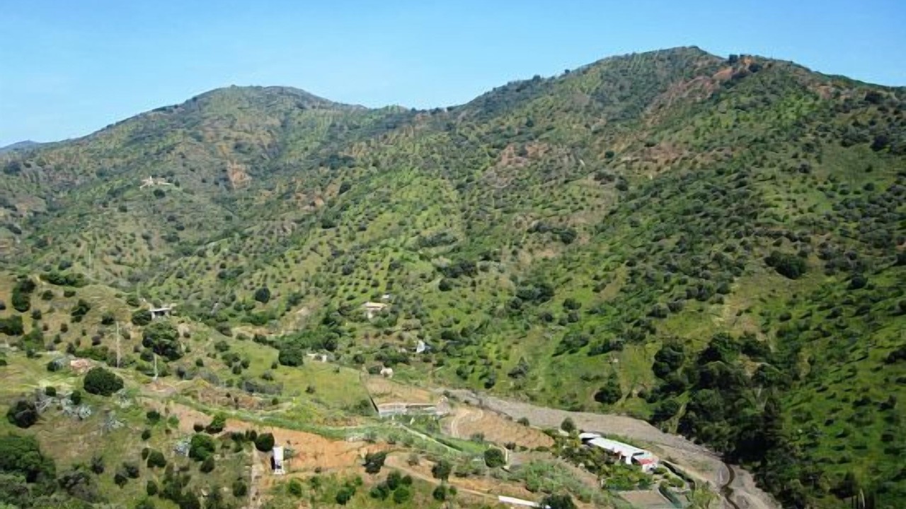 Photo of Outdoor in Totalan