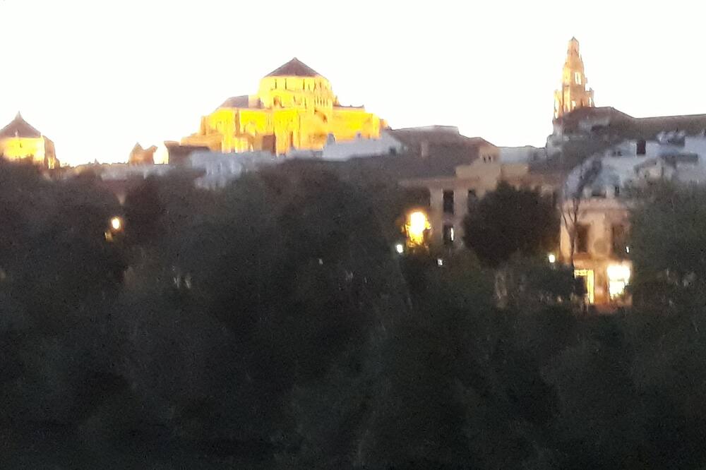 Photo of Outdoor in San Francisco-Ribera